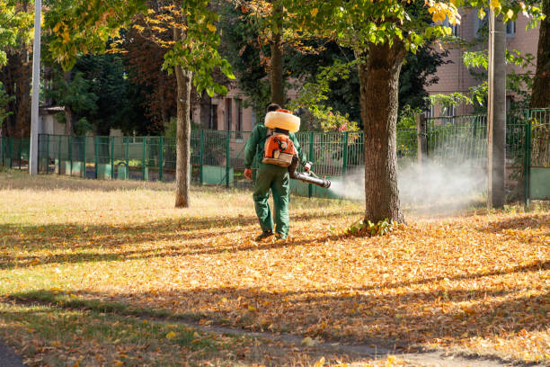 Wasp Removal Services in Lancaster, WI