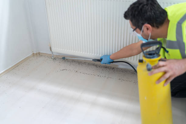 Best Residential Pest Control  in Lancaster, WI