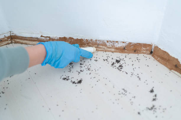 Trusted Lancaster, WI Pest Control Experts